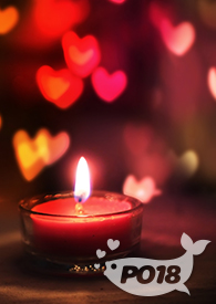 傅心不负心（np）